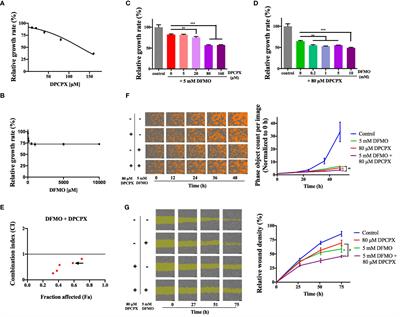 Dual Inhibition of Ornithine Decarboxylase and A1 <mark class="highlighted">Adenosine Receptor</mark> Efficiently Suppresses Breast Tumor Cells
